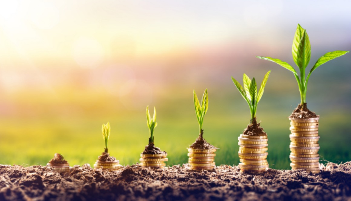 Financial Foundations