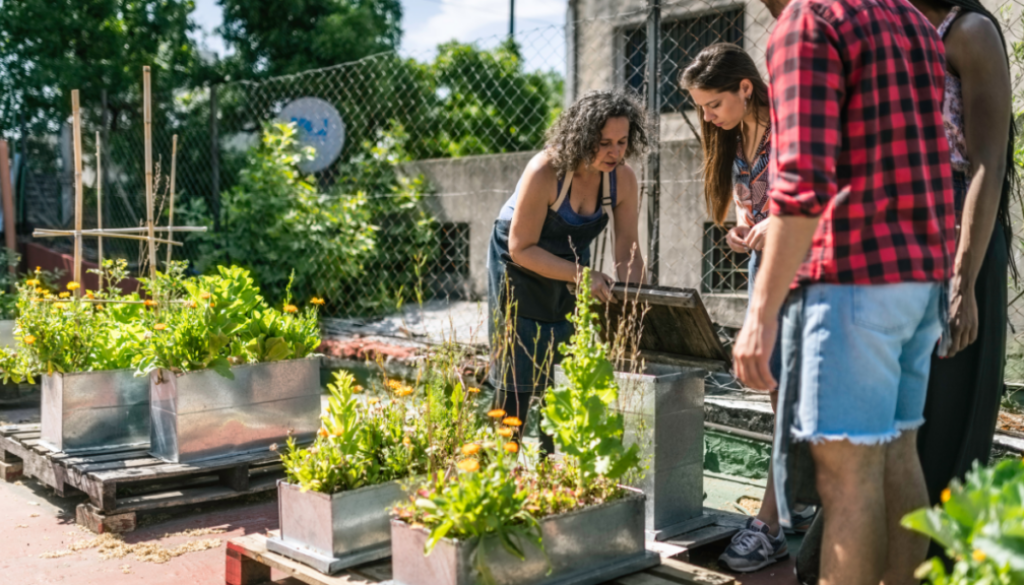 Urban Homesteading