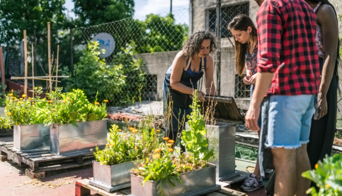 Urban Homesteading