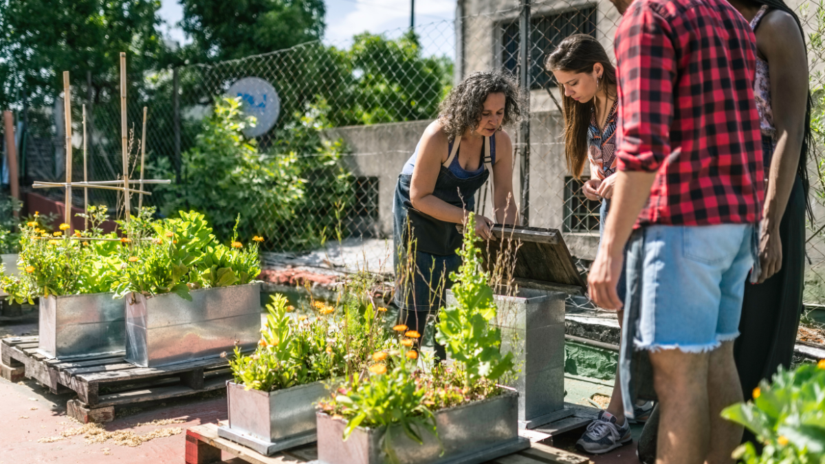 Urban Homesteading