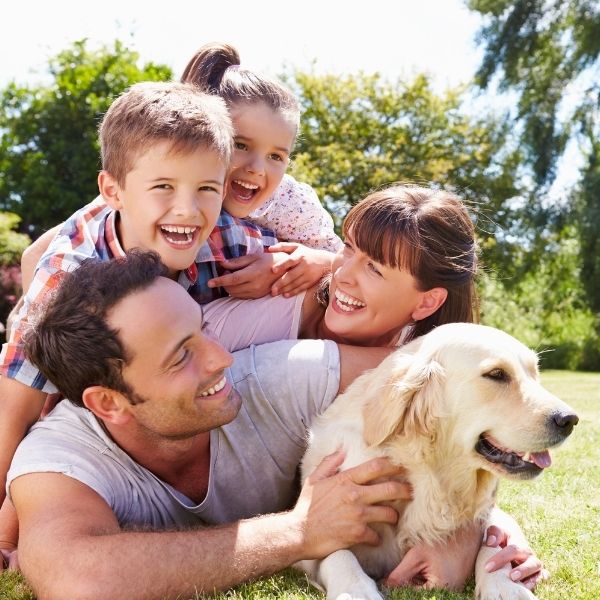 A happy Wisconsin family of four with their golden retriever relaxes outdoors, reflecting financial well-being and security.